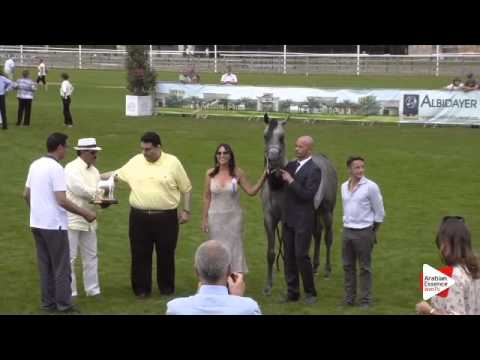 2nd Place N.52 RAOUD AL BIDAYER - Chantilly 2015 AWC - Yearling Colts Championship (Class 14)