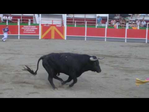 La Puebla de Alfindén (ZARAGOZA) 16/08/2016 / Grupo 1