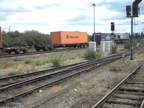DRS Class 66 66305 Passing Didcot Parkway Working 4O29 And DB Schenker Class 60 Working 6B33