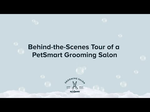 Behind the Scenes at PetSmart Grooming Salons