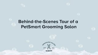 Behind the Scenes at PetSmart Grooming Salons