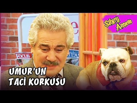 Umur, Taci'den Korkup Kaçtı! - Sihirli Annem 8.Bölüm