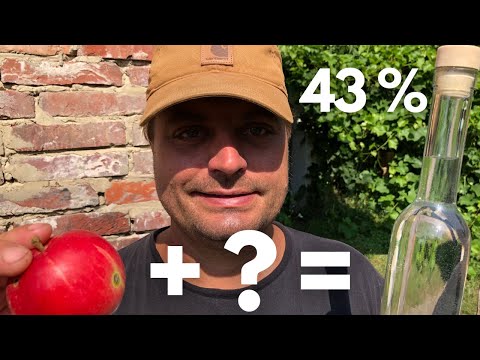 Apfelmaische - Meine geheime Rezeptur für den perfekten Obstbrand