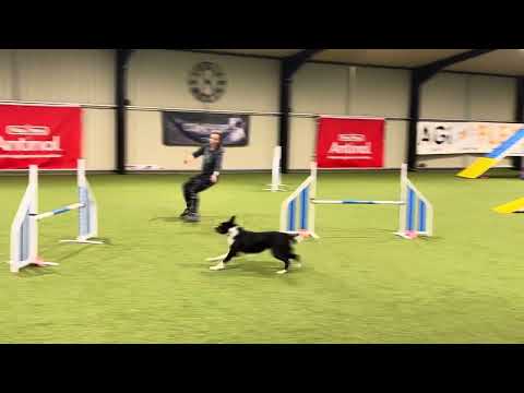 Iconix final Feb 2024 Daniel walz