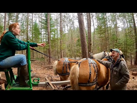 Draft Horse Logging Course @ Paul Smiths College & Barn Tour!!!