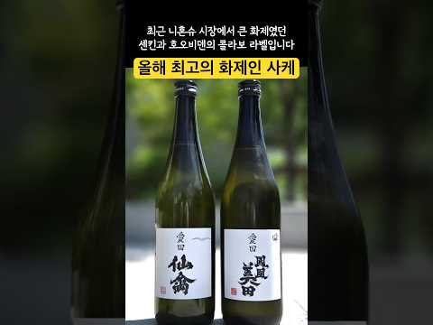 사케 애호가 필독! 생킨과 호흡이 된 콜라보의 매력 탐구