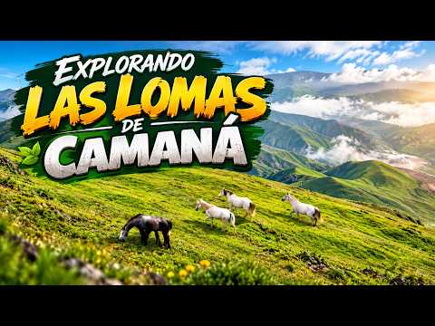 Lomas de Camaná