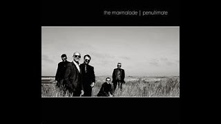 THE MARMALADE - COUSIN NORMAN