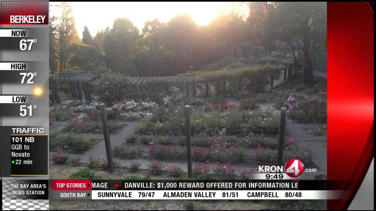 Unique Wedding Venues