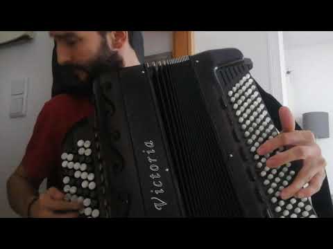 Nikola Zarić - Free Style on accordion