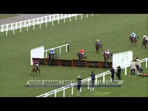 Cheltenham 2014: Coral Cup preview