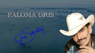 PALOMA GRIS LYRIC VIDEO OFICIAL