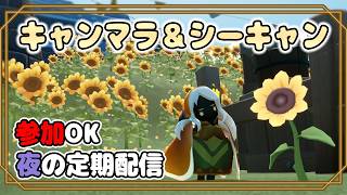 【Sky】参加〇！夜のキャンマラ＆シーキャンデイリー配信！！【7/29 雑談】