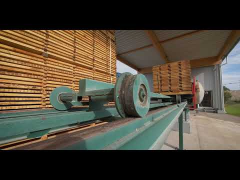 TRAPA Imagevideo 2019