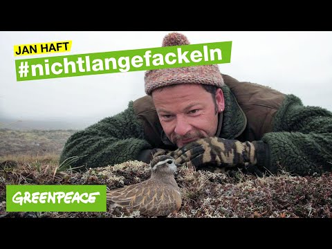 #nichtlangefackeln - die Message von Jan Haft
