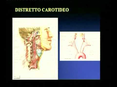 Ginocchia deboli Simulatore per lacquisto congiunto
