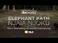 Elephant Path 1st Preview On Doc World WORLD Channel