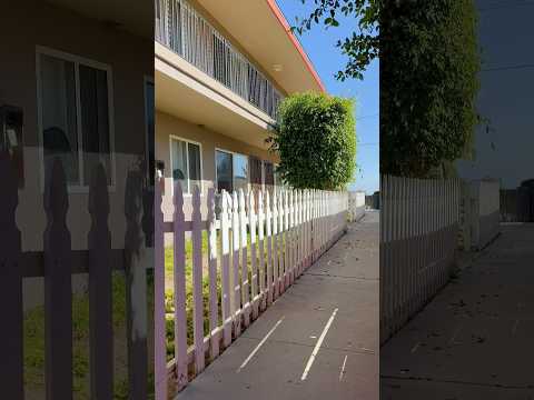Grape (Hendrick/Carey Ryan, LLC) - Video 2 of 2