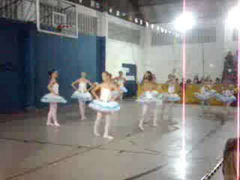 Grupo de Ballet Cristiane Araujo