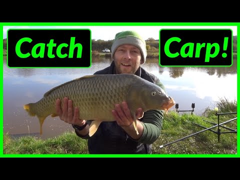 Carp Fishing for Beginners (How to Start Carp Fishing)