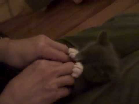 M3LisSaYmcmb’s Video 107039172116 eddYjWSZvp8