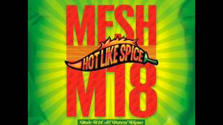 Mesh M18 -  High vibes