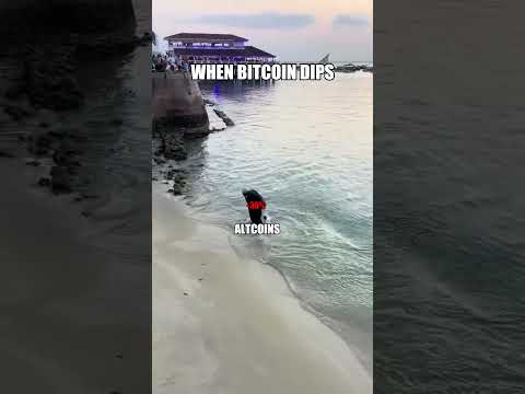 This Is What Happens To Altcoins When Bitcoin Falls!