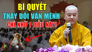 Thầy Thích Pháp Hòa Tiết Lộ Cách Thay Đổi Nghiệp, Cách Bạn Có Thể Thay Đổi Định Mệnh! (CỰC HAY)