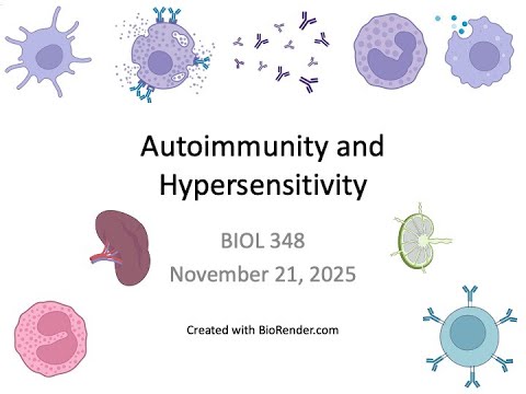 Immunology Fall 2025: Lecture 31 Autoimmunity and Hypersensitivity