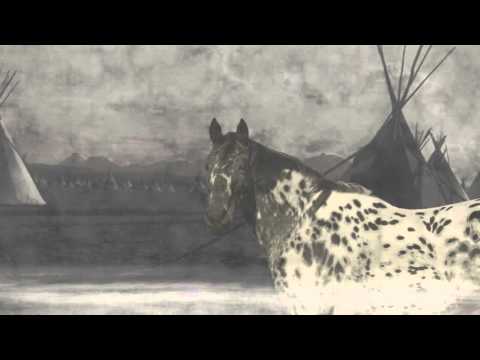 Buffalo Runner Mood Video