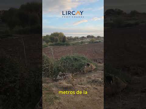 comuna de San Rafael. VENTA, catorce Parcelas totalmente regularizadas.  #inmobiliaria #parcelas