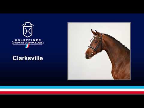 Clarksville v. Cascadello I - Canto | 2018