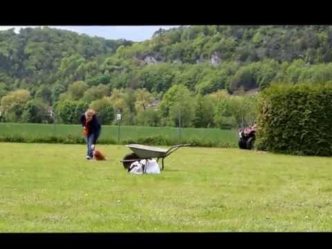 Tag der offenen Türe - Luke Tricks