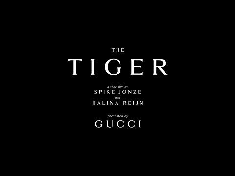 Arrivals at The Tiger Premiere