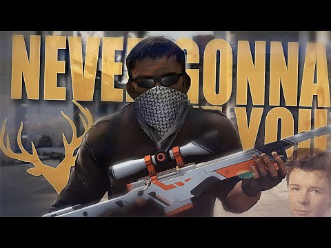 Counter Strike: Global Offensive Song - Never Gonna Give You AWP (CS:GO) - Stagged