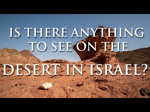 Is there anything interesting to see on the Negev desert in Israel?