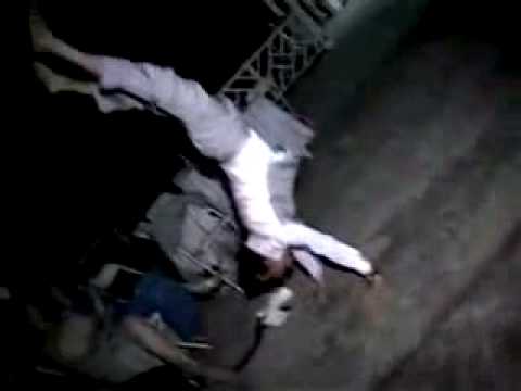 Swingfly - Save The Trees