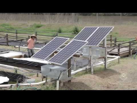 農場ベースの藻類生産 (Farm Based Algae Production)