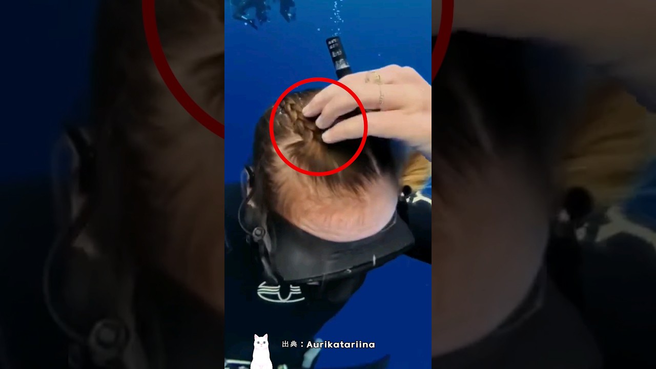 海で何かが私の体にくっついた