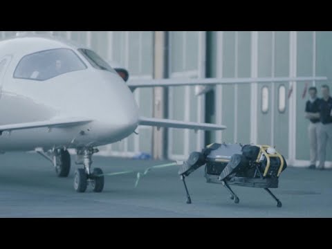 Vierbeiniger Roboter zieht Flugzeug: Ganz stark