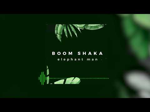 Arewhana gang - BOOM SHAKA (Elephant Man REMIX)
