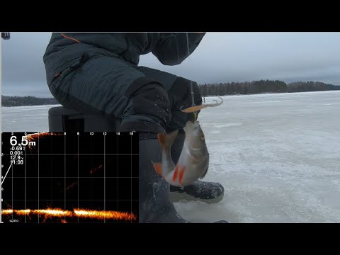 Tapaninpäivän pilkit, kova etsiminen palkitaan!