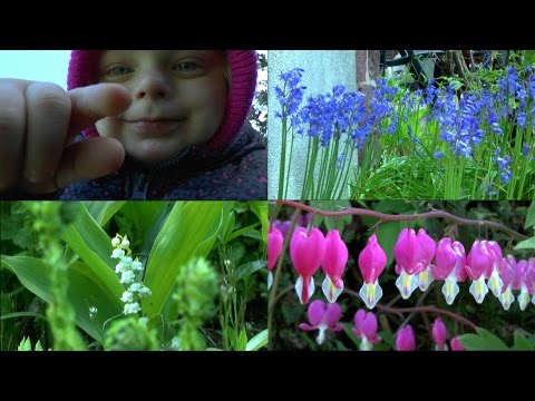 Der Garten im Mai. Natur mit anderen Augen sehen.