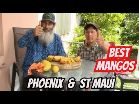 Garden Expert Tastes The Best Mango Varieties