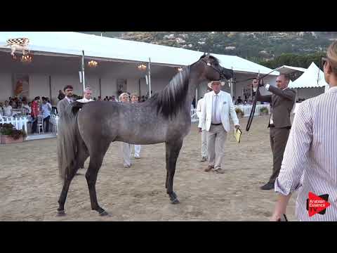 N.122 EKS FARAJJ - Menton 2019