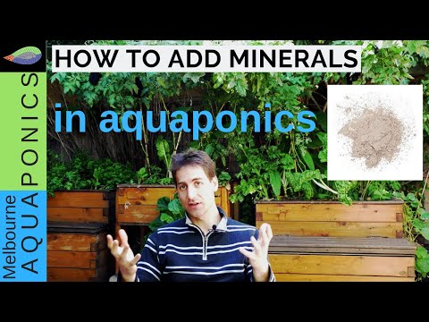 , title : 'Why, how and when should we add minerals in aquaponics  Plants nutrients'