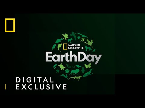 Earth Day | National Geographic UK