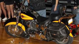 Titan Wrestling   Bad to the Bone