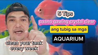 CRYSTAL CLEAR AQUARIUM TANK