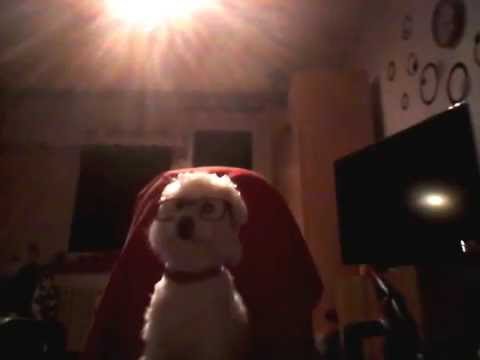 První Odhalení/ Ashley